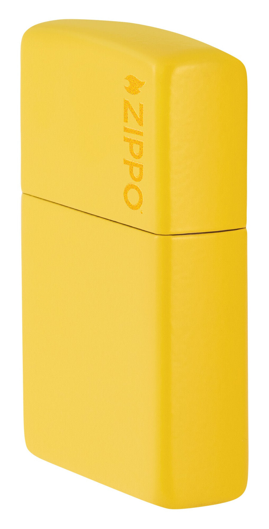 logo zippo classique tournesol